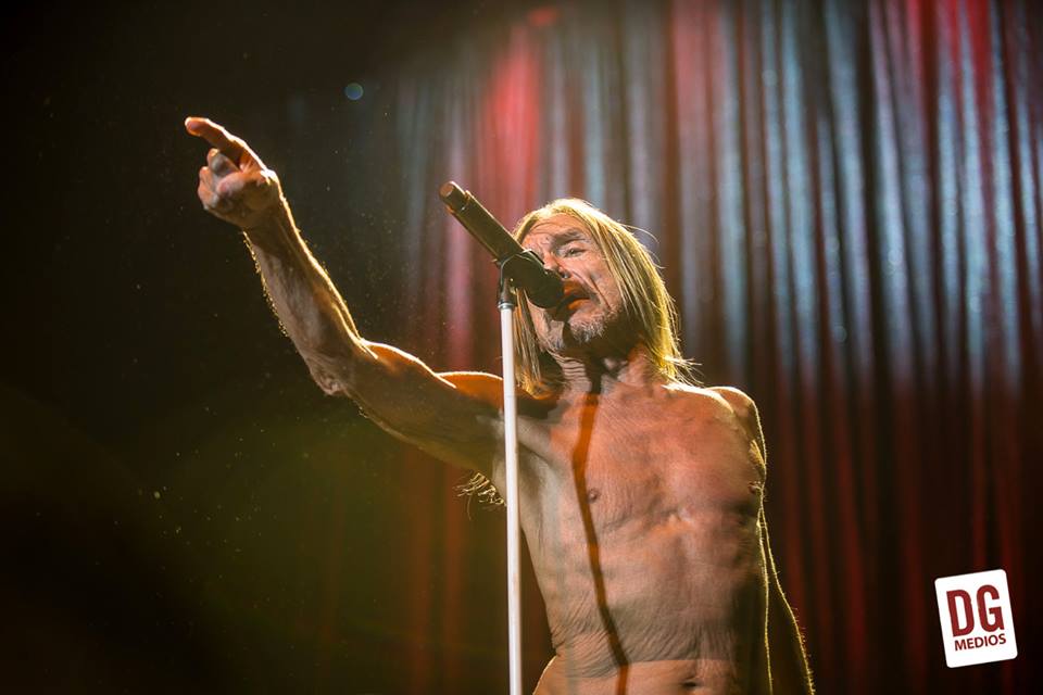 iggy-pop-2