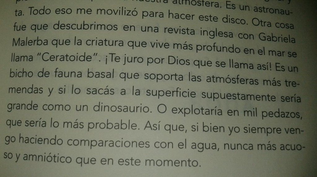 Cerati en primera persona, Maitena Aboitiz Cerati en primera persona, Maitena Aboitiz