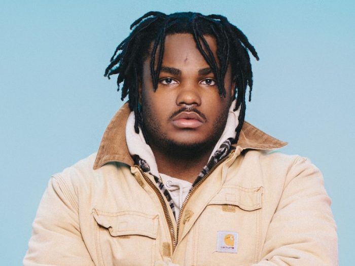 Resultado de imagen para tee grizzley