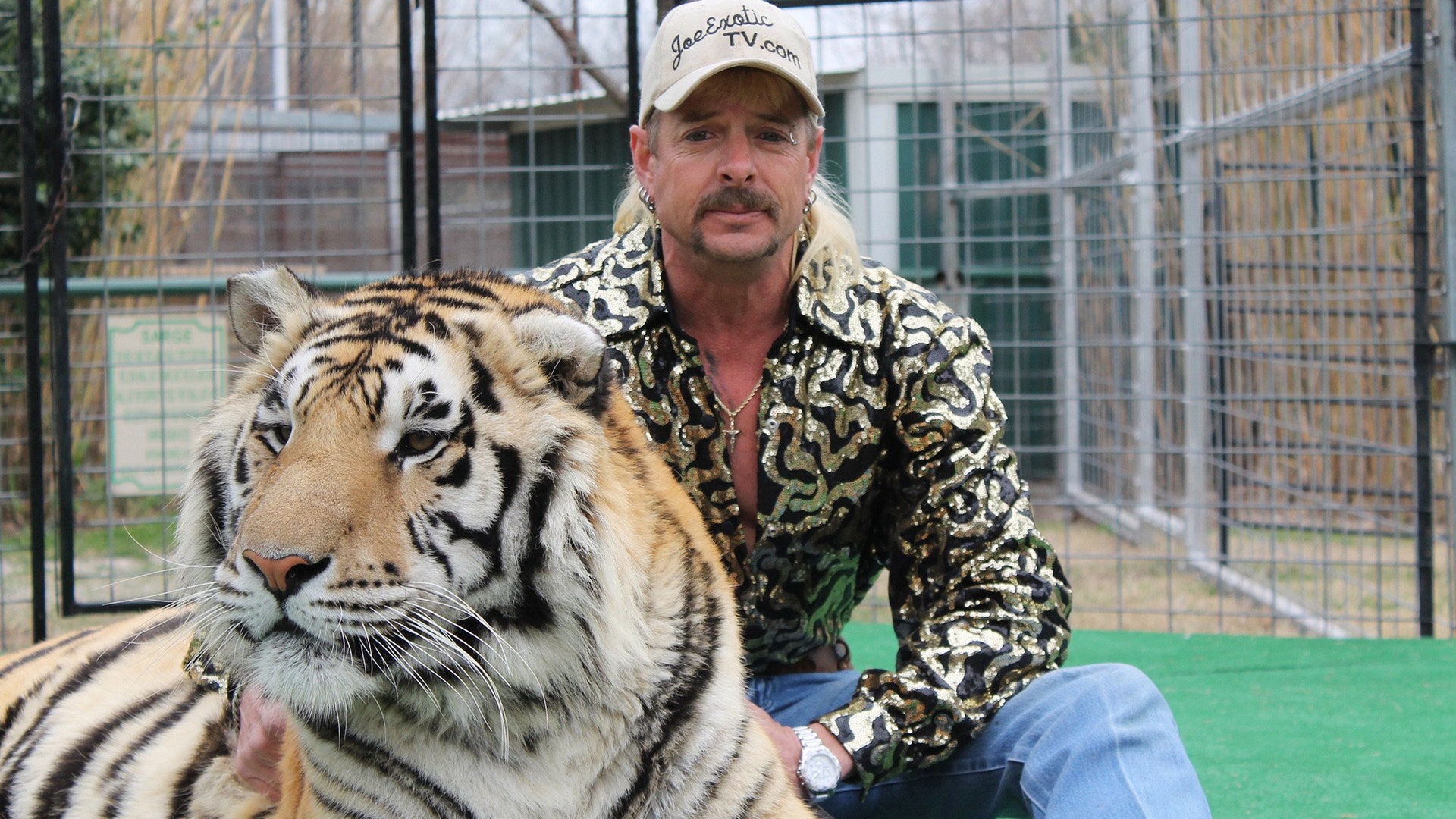 Tiger King: El gigantesco tráfico de felinos que se ...